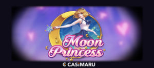 ムーンプリンセス スロット (Moon Princess Slot)の詳細解説