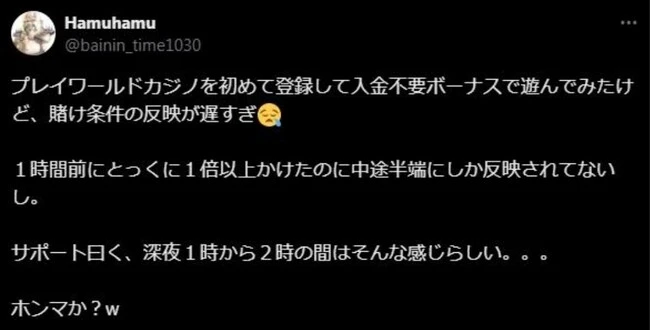 プレイワールドカジノの口コミ2