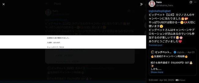 ビッグベットカジノの口コミ1