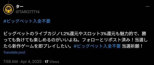 ビッグベットカジノの口コミ2