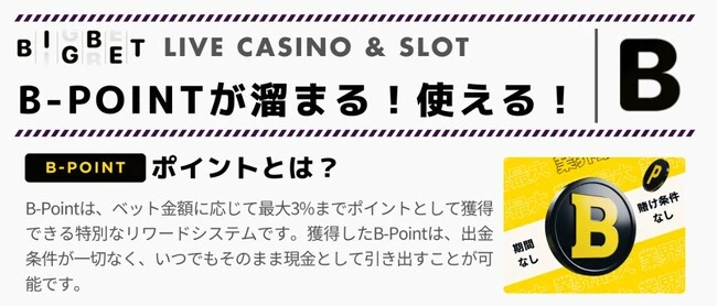 ビッグベットカジノのリベートボーナス