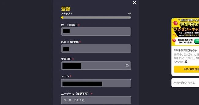 ビッグベットカジノの登録方法 (ステップ2)