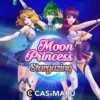 【デモあり】ムーンプリンセススターゲージング スロットの詳細解説