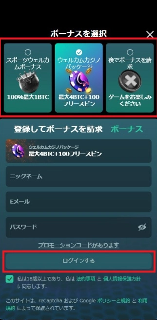 ベイブカジノの登録ステップ2