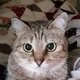 Xのリョウさんのアイコン