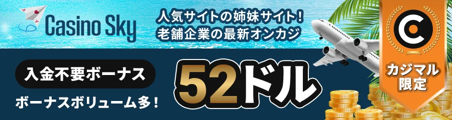 カジノスカイ banner