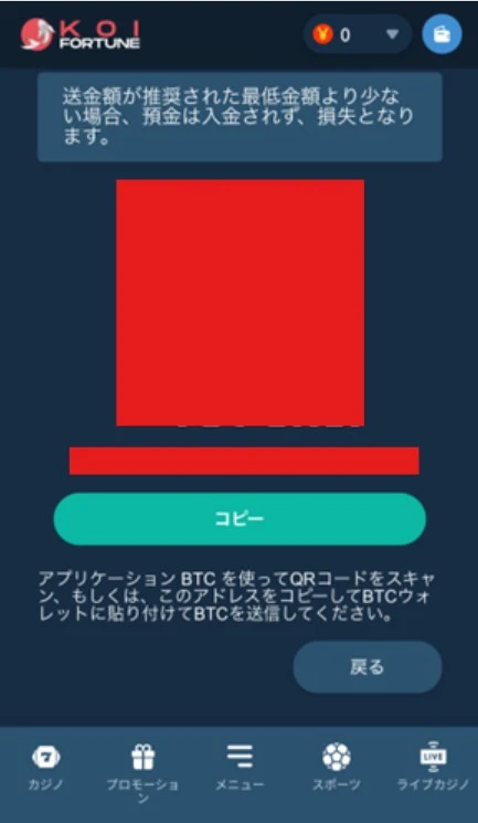 コイフォーチュンカジノの入金方法 (ステップ3)