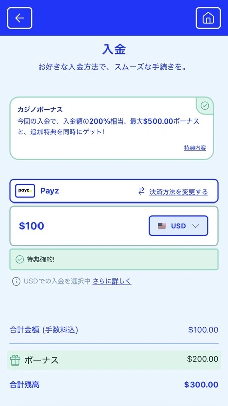 カジノシークレットのPayzの入金画面