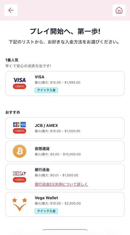 ミスティーノの入金オプション画面