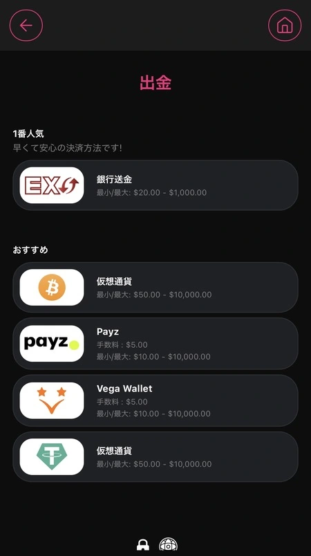 インターカジノの出金オプション