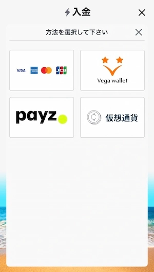 カジノスカイの入金オプション
