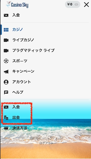 カジノスカイの入出金ボタン