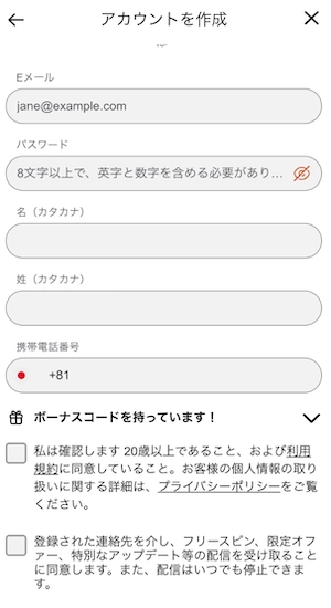 カジノエックスの登録時の情報入力