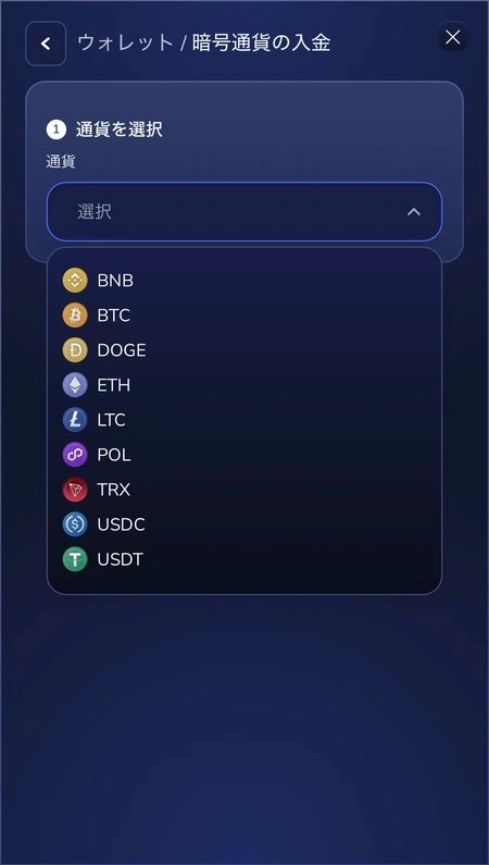 フラッシュカジノの仮想通貨オプション