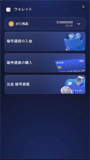 フラッシュカジノの入金オプション選択