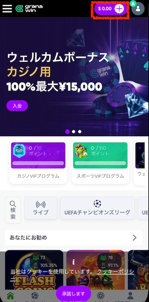 グラナウィンカジノの入出金ボタン