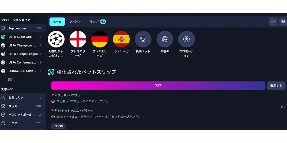 ホエールプレイのスポーツベットの様子