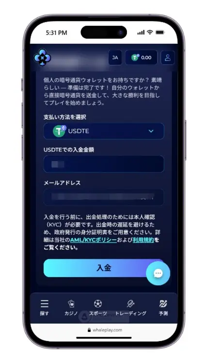 希望する仮想通貨の銘柄、入金希望額、そして登録済みのメールアドレスを入力し、「入金」をタップ。